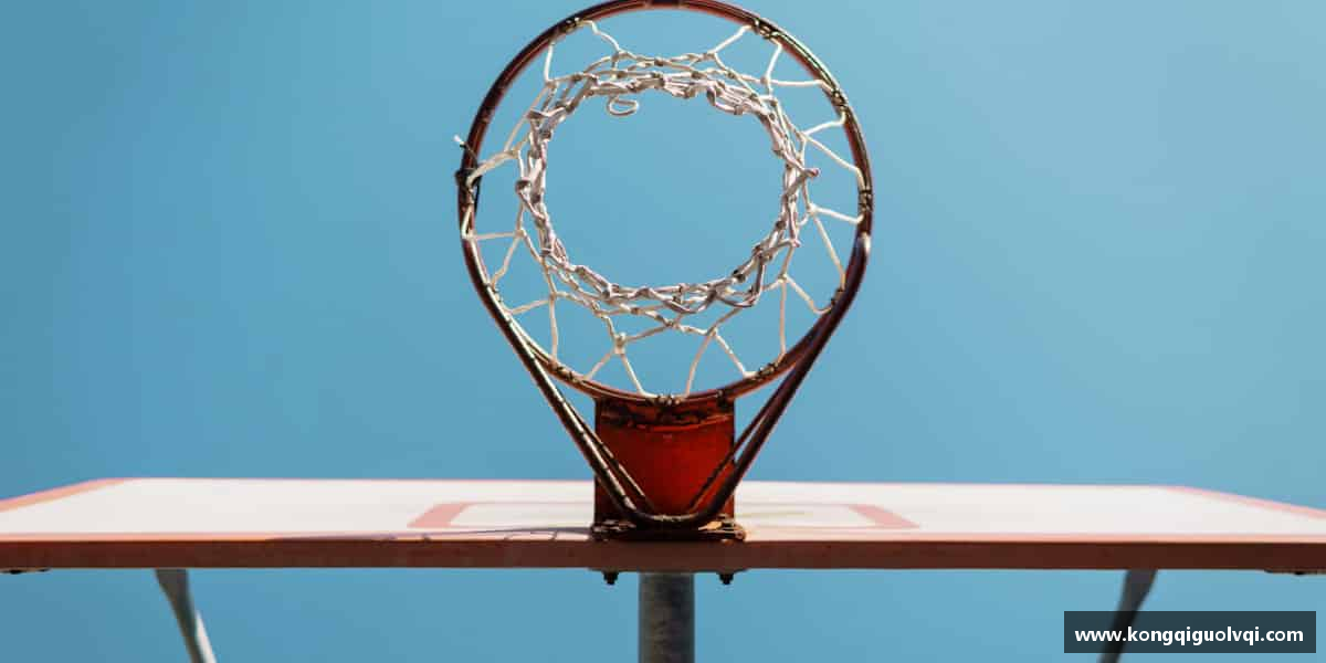 介绍OD体育官网